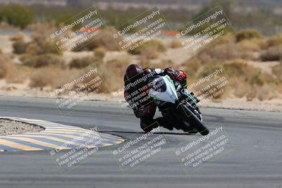 media/Mar-13-2022-SoCal Trackdays (Sun) [[112cf61d7e]]/Turn 4 (145pm)/